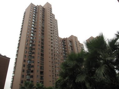 上海上海滩花园一室南豪华装修普通住宅整租-上海焦点租房